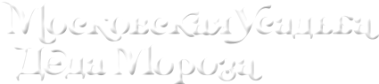 Московская усадьба деда мороза